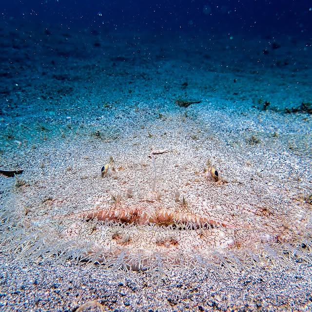 Post by islife_kosei