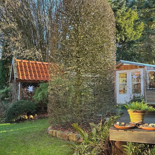 Post by ina_im_gruenen