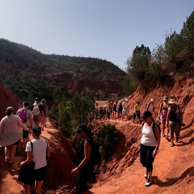 Post by thewildtimesco