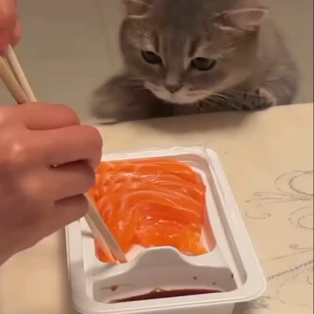 Post by kitty_mittymeow