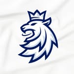 Český hokej's profile picture