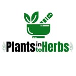 Home Remedies - Health Tips's profile picture