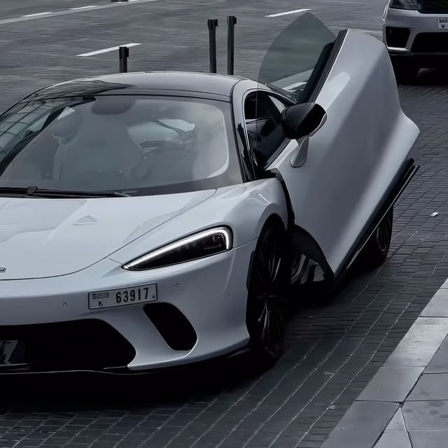 Post by elitewifisociety