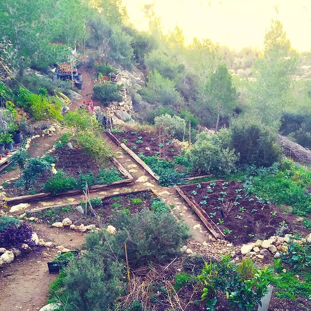 Post by creative_gardening_spain