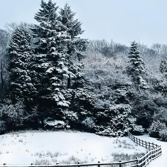 Post by halffullhattie