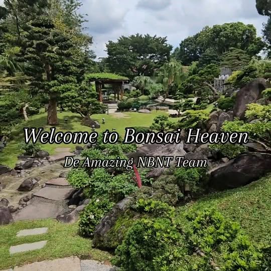 Post by noburnnotaste