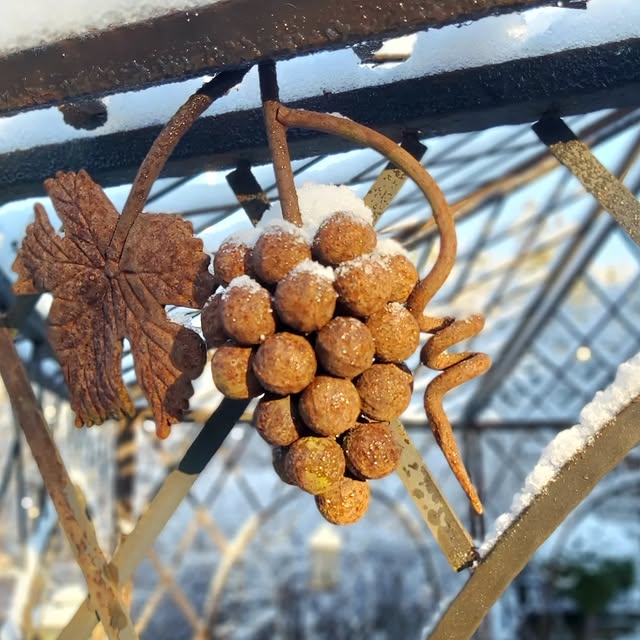 Post by sofiehills_tradgard