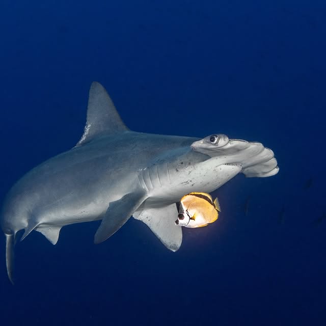 Post by michaels_bubbles