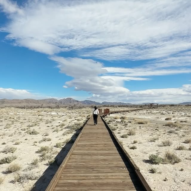 Post by accidentallywesanderson