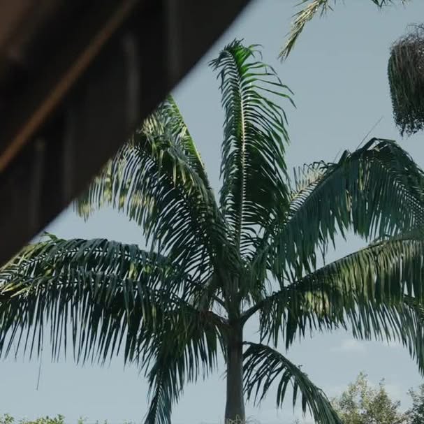 Post by atlas_sydney_eastcoast