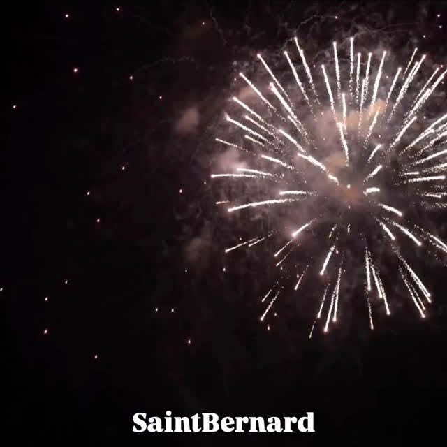 Post by saintbernard.gr