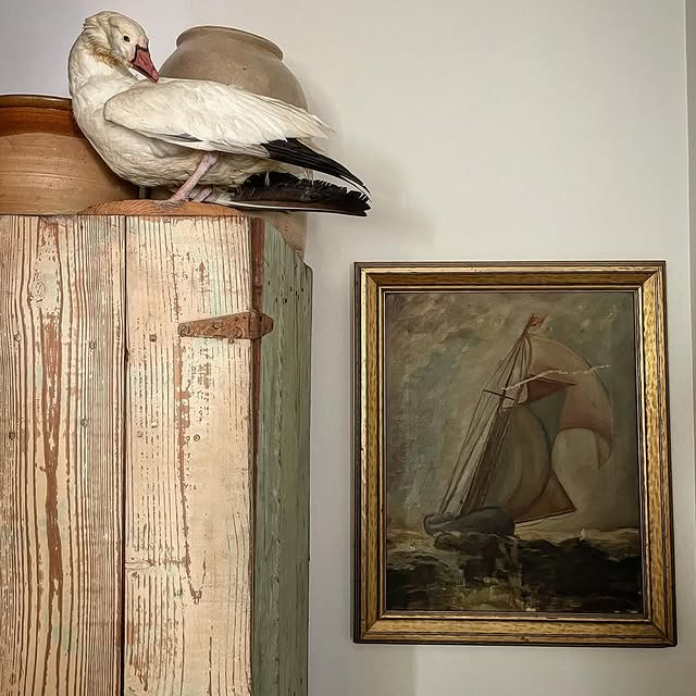 Post by antiquities.and.more