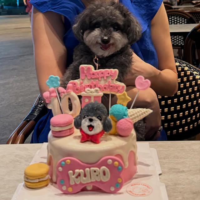 Post by benjaminheng25