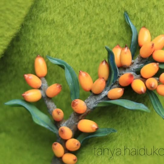 Post by tanya.haidukova.lepit