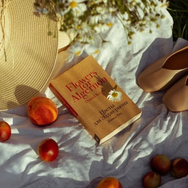 Post by alphicolifestyle