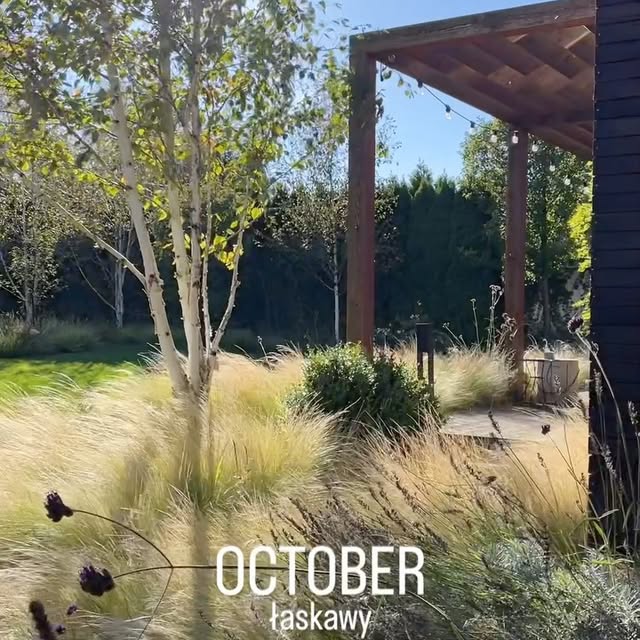 Post by gardenroom.kp