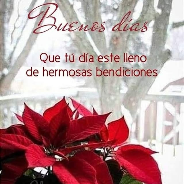 Post by mandalas_y_crecer