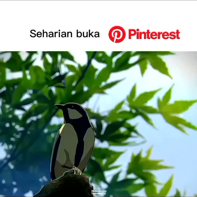 Post by humemesidcom