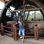 Eulermaia Bichodomato's profile picture