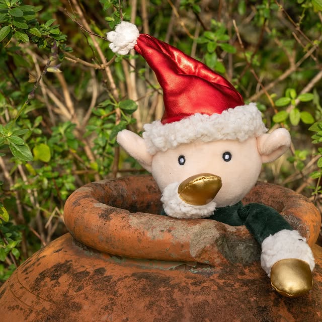 Post by wildsidegarden