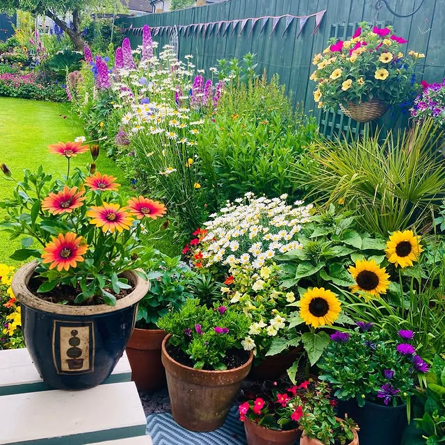 Post by bibbys_home_and_garden