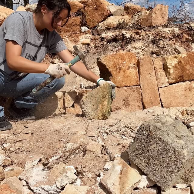 Post by baccherosse_