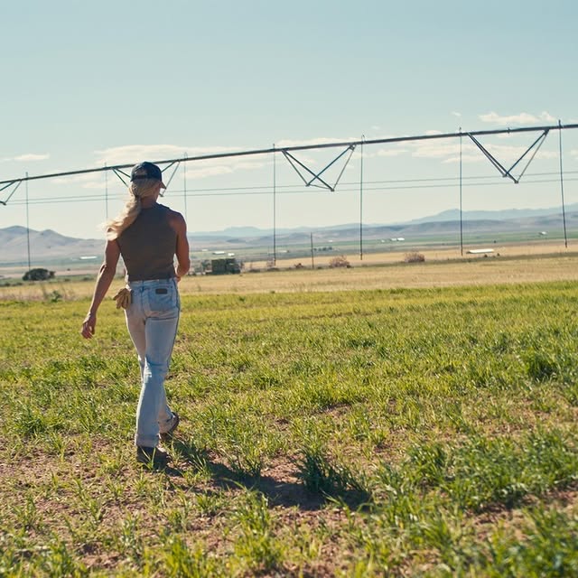 Post by fromthefarmusa