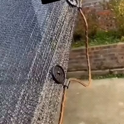 Post by daily_gardening_life