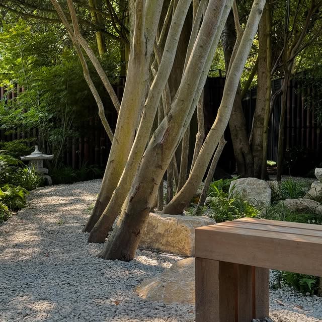 Post by tomhowardgardens