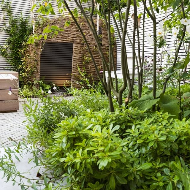 Post by gardenclublondon