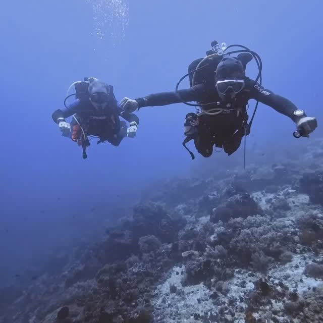 Post by critter.hunter