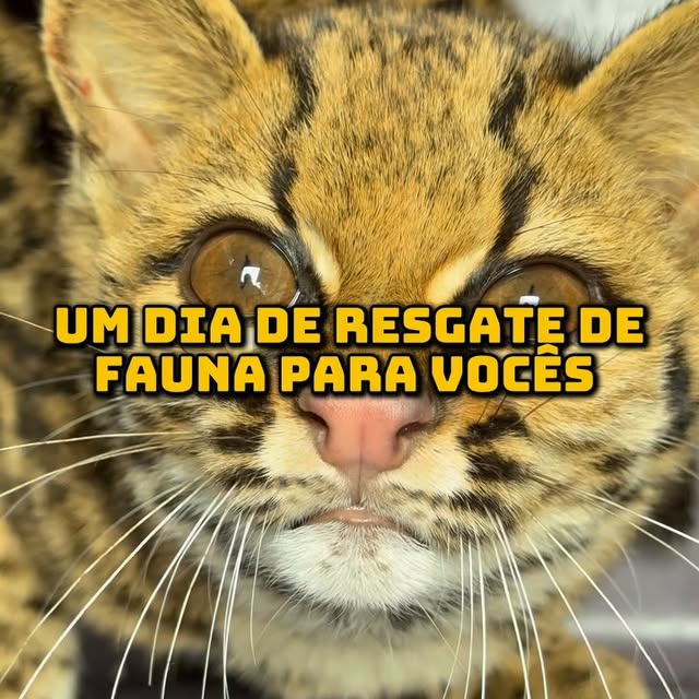 Post by biologo.christian