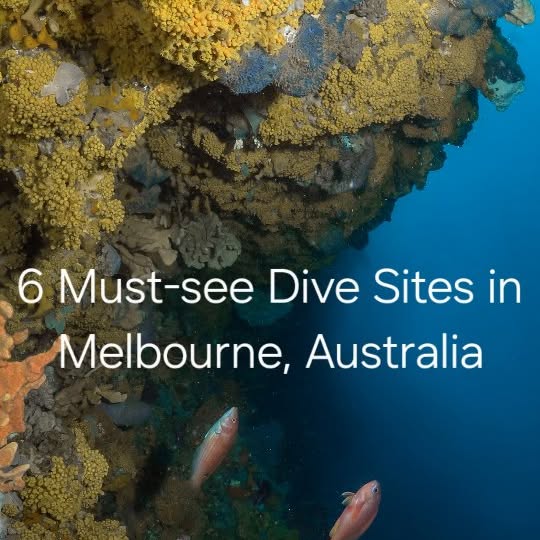 Post by sammyglenn_dives