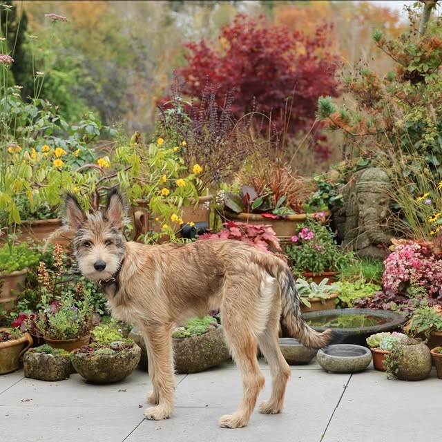 Post by katrins_garten