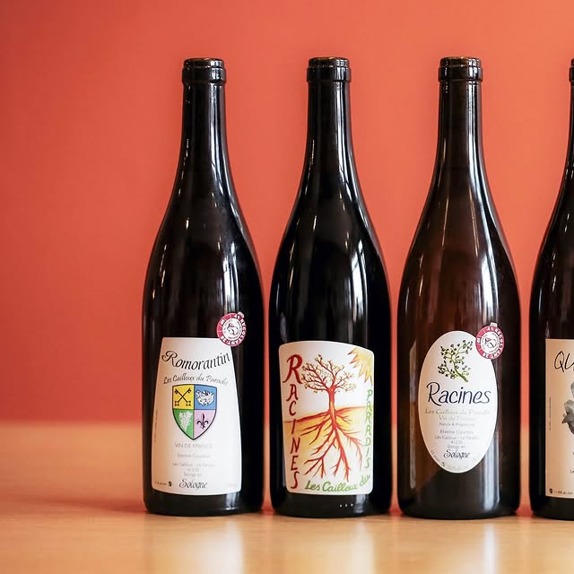 Post by jajapowerwines