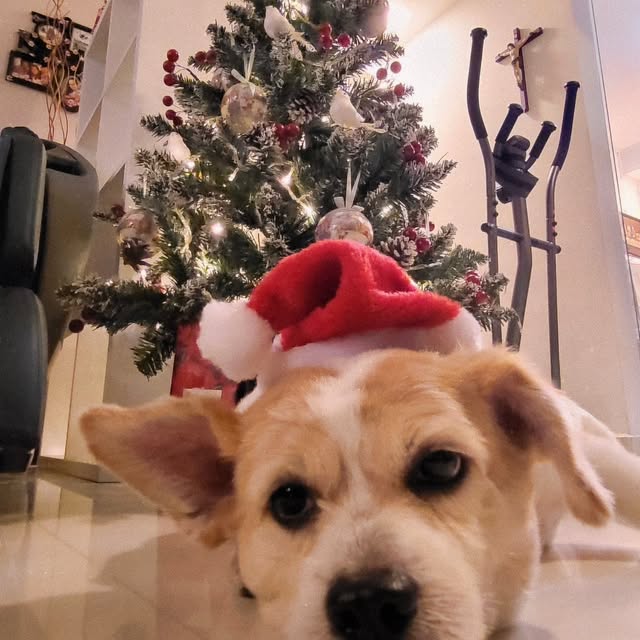 Post by daniel.n.fitness