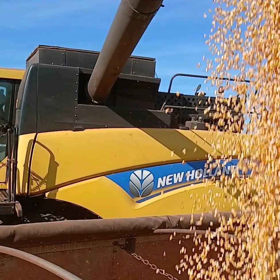 Eliteparanaense22 🚜🇧🇷🌽's profile picture