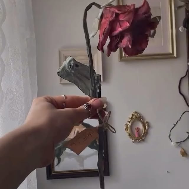 Post by diy_and_cra__fts