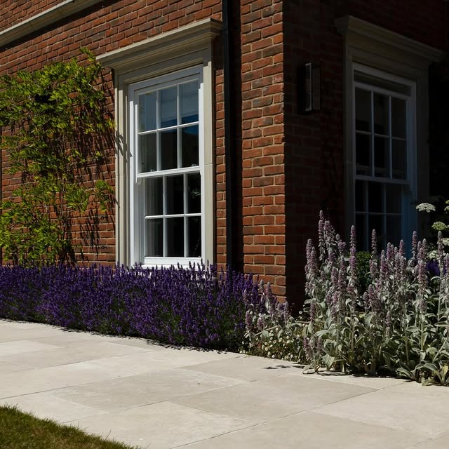 Post by rainegardendesign