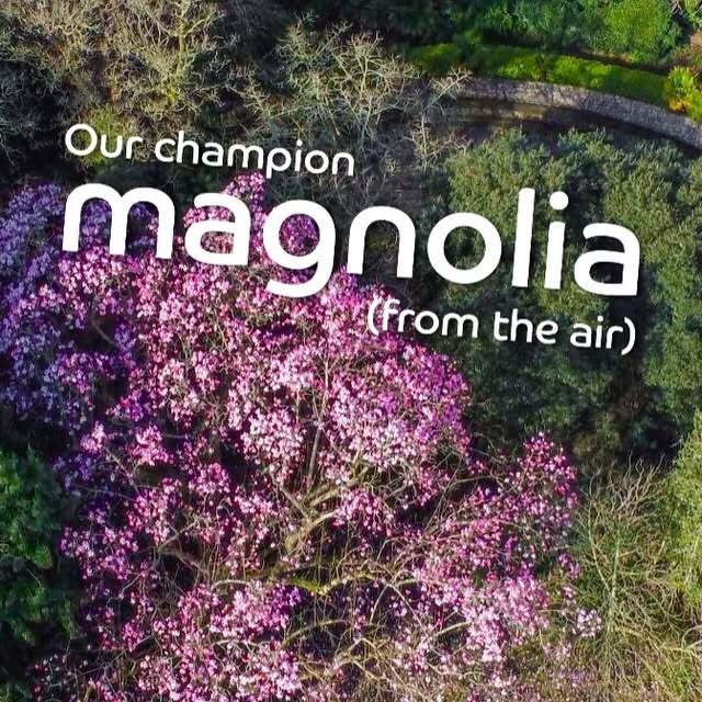 Post by trebahgardencornwall