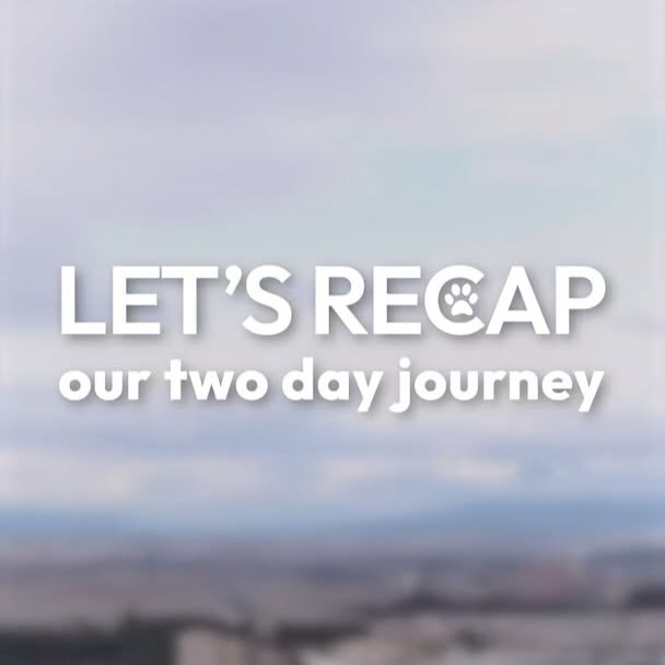 Post by andreia.albies