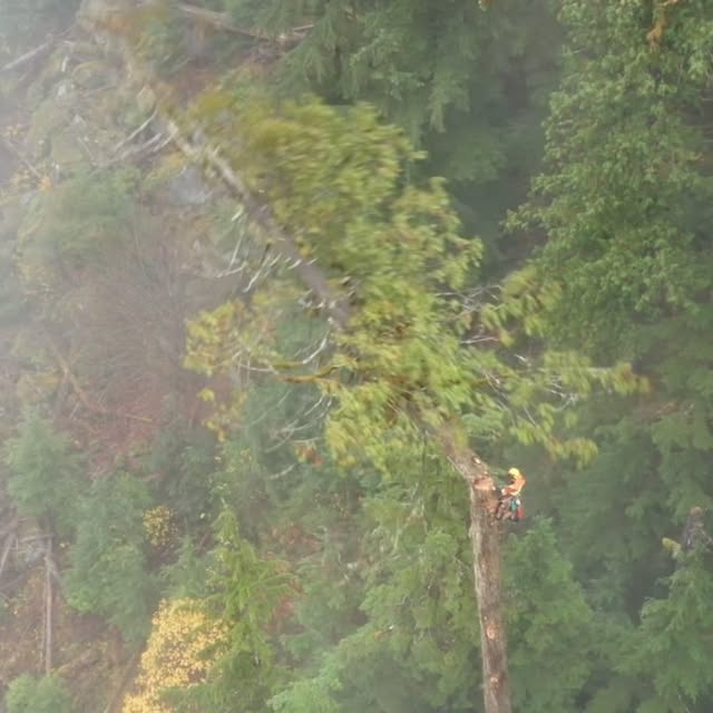 Post by benoftheforest