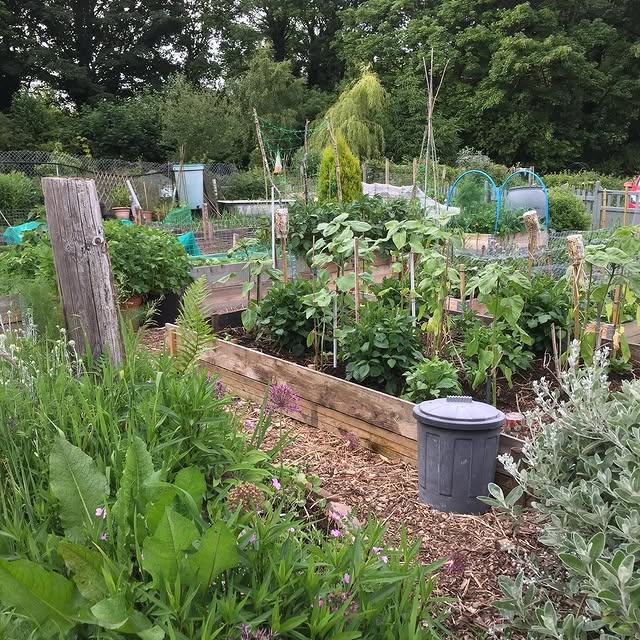 Post by natures_architects