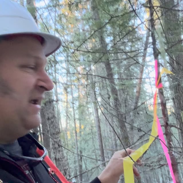 Post by rupps_timber