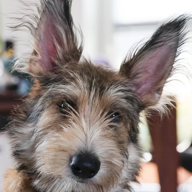 Post by katrins_garten