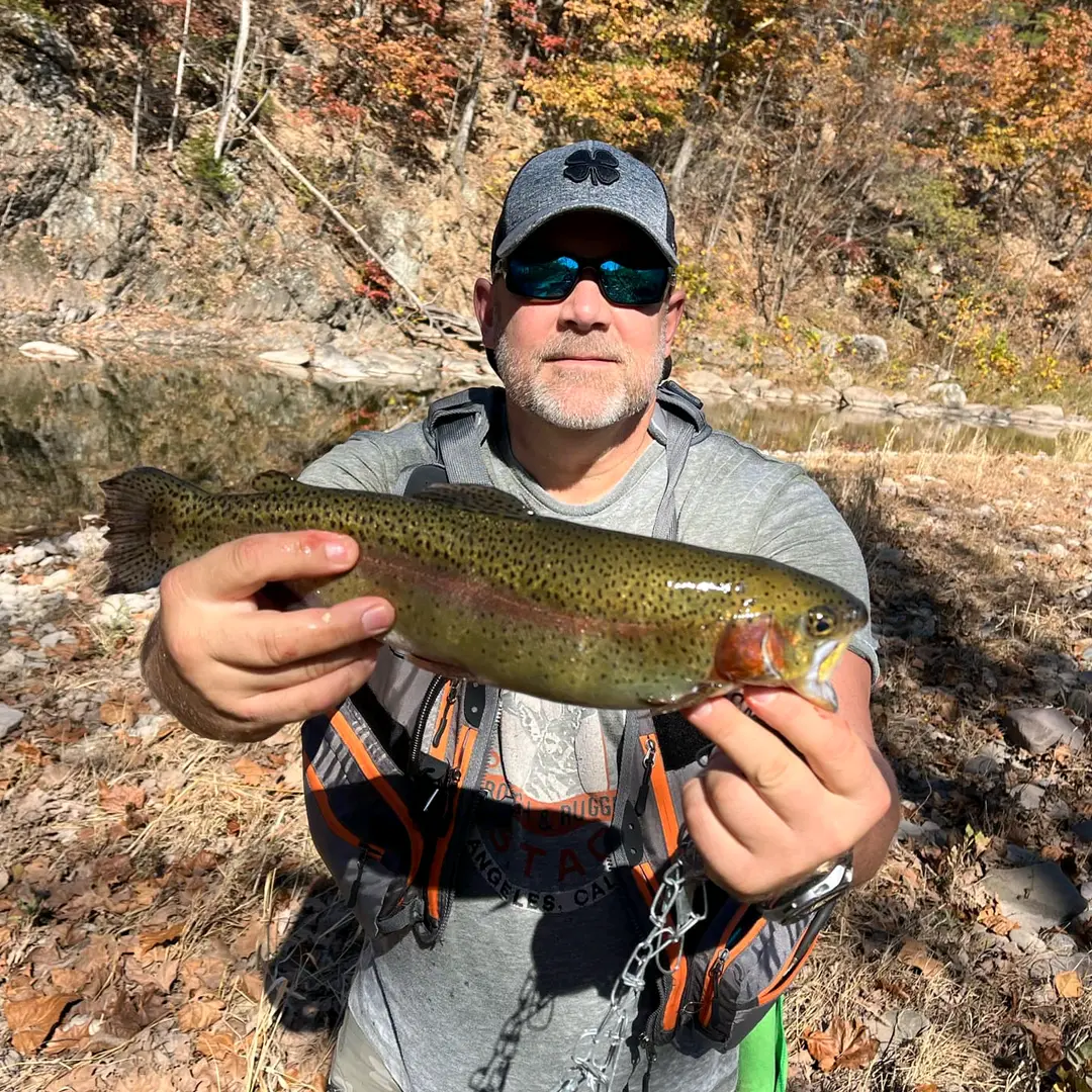 Buck's profile picture