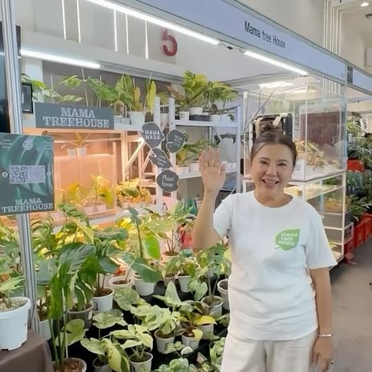 Post by mama.treehouse