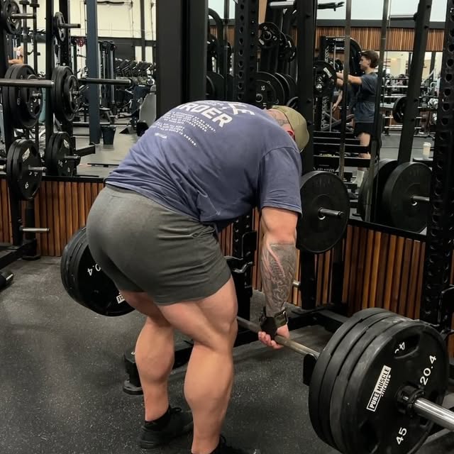 Post by morganmac.bodybuilding