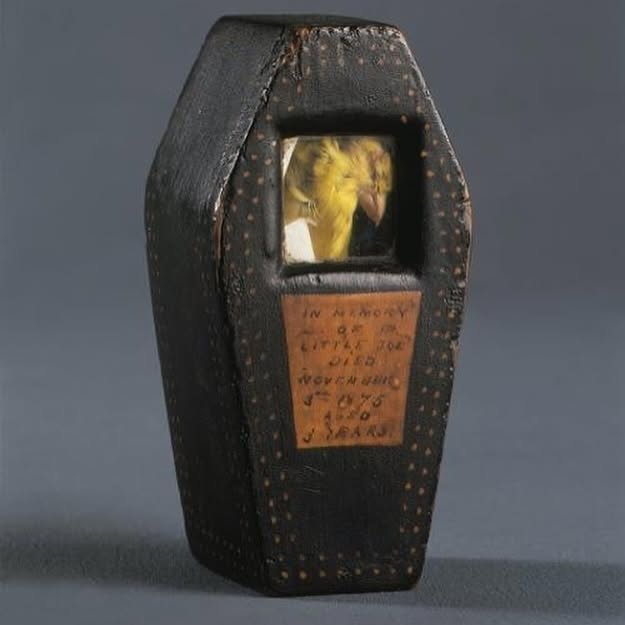 Post by anonymousworksinc