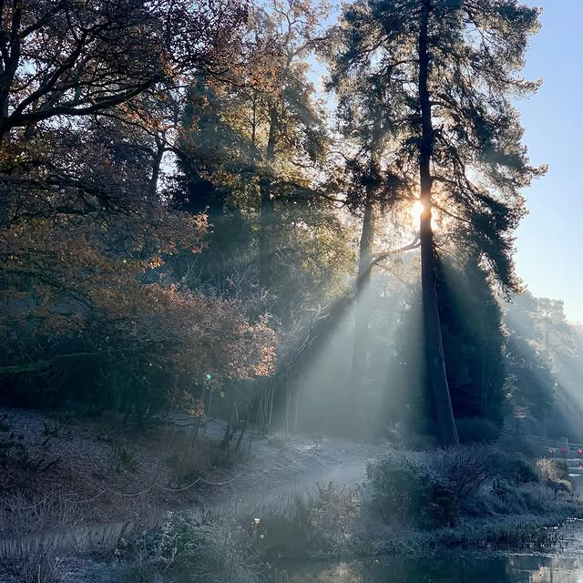 Post by acreswildgardendesign